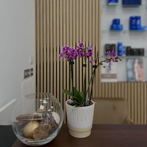 ZO skincare (4)